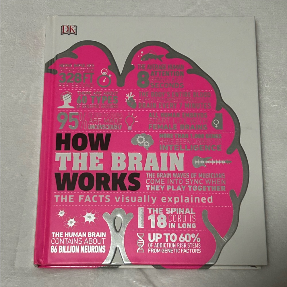 Pink and Silver 'How the Brain Works' Book